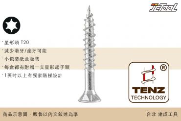 TENZ 低耗能 尖尾 木工螺絲 星型