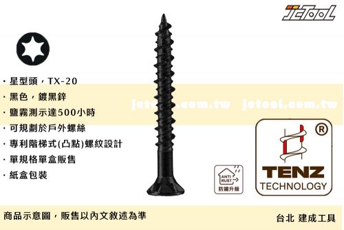 TENZ 低耗能 尖尾 木工螺絲 星型 戶外